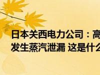 日本关西电力公司：高滨核电站1号机组涡轮厂房部分管道发生蒸汽泄漏 这是什么情况？