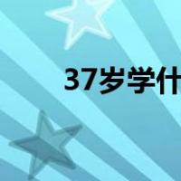 37岁学什么手艺好（学什么手艺好）