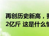 再创历史新高，我国2023年粮食产量13908.2亿斤 这是什么情况？