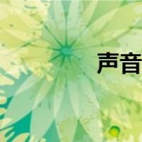 声音锁有什么用（声音锁）