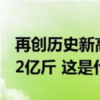 再创历史新高，我国2023年粮食产量13908.2亿斤 这是什么情况？