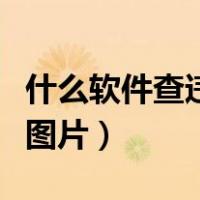 什么软件查违章有图片的（什么软件查违章有图片）