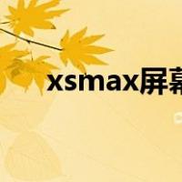 xsmax屏幕总成多少钱（xsmax屏幕）