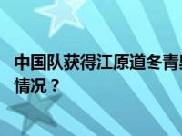 中国队获得江原道冬青奥会速度滑冰混合接力冠军 这是什么情况？