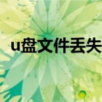 u盘文件丢失怎么恢复数据（u盘文件丢失）