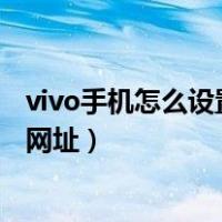 vivo手机怎么设置禁止浏览不良的网站（vivo手机怎么屏蔽网址）