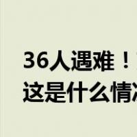 36人遇难！京都动画纵火案被告被判处死刑 这是什么情况？