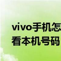 vivo手机怎样看本机号码（vivo手机怎么查看本机号码）