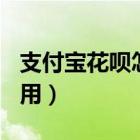 支付宝花呗怎么用pos机刷（支付宝花呗怎么用）