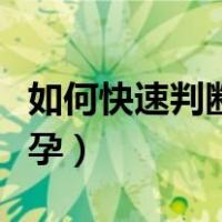 如何快速判断狗狗怀孕（怎么快速判断狗狗怀孕）