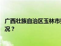 广西壮族自治区玉林市委原书记莫桦被“双开” 这是什么情况？