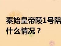 秦始皇帝陵1号陪葬墓取得重大考古收获 这是什么情况？