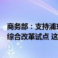 商务部：支持浦东新区对接高标准国际经贸规则，持续深化综合改革试点 这是什么情况？