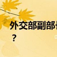 外交部副部长孙卫东抵朝访问 这是什么情况？