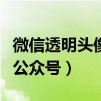 微信透明头像公众号怎么设置（微信透明头像公众号）