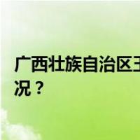 广西壮族自治区玉林市委原书记莫桦被“双开” 这是什么情况？