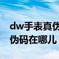 dw手表真伪查询网站dw官网（dw手表的防伪码在哪儿）