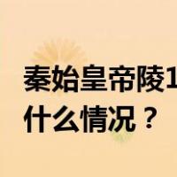 秦始皇帝陵1号陪葬墓取得重大考古收获 这是什么情况？