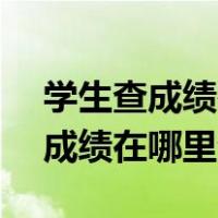 学生查成绩在哪里查询利什么APP（学生查成绩在哪里查询）