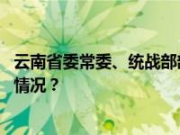 云南省委常委、统战部部长杨宁当选省政协副主席 这是什么情况？