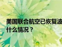 美国联合航空已恢复波音737 MAX 9型飞机客运航班 这是什么情况？