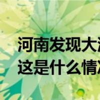 河南发现大油田！原油资源量或达1.07亿吨 这是什么情况？