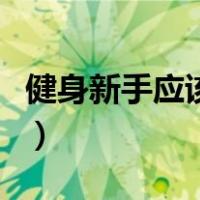 健身新手应该如何开始（健身新手开始怎么练）