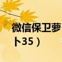 微信保卫萝卜35关攻略图解法（微信保卫萝卜35）