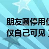 朋友圈停用仅自己可见什么意思（朋友圈停用仅自己可见）