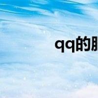 qq的服务号（qq服务号在哪）