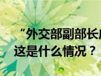 “外交部副部长应约会见乌克兰驻华大使” 这是什么情况？