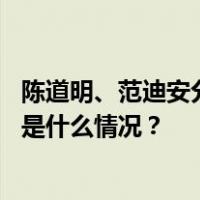 陈道明、范迪安分别当选新一届中国影协、中国美协主席 这是什么情况？