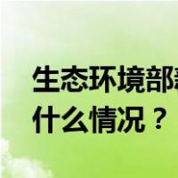 生态环境部新任新闻发言人裴晓菲亮相 这是什么情况？