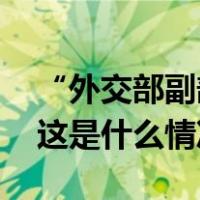 “外交部副部长应约会见乌克兰驻华大使” 这是什么情况？