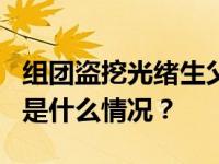 组团盗挖光绪生父醇亲王墓葬，8人受审！ 这是什么情况？