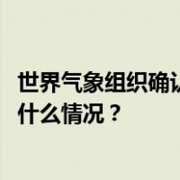 世界气象组织确认欧洲大陆高温纪录刷新为48.8摄氏度 这是什么情况？