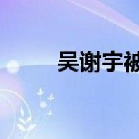 吴谢宇被执行死刑 这是什么情况？