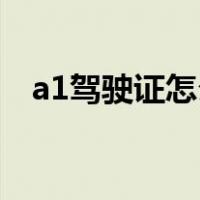 a1驾驶证怎么考取a2（a1驾驶证怎么考）