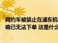 网约车被禁止在浦东机场区域揽客？记者实测发现，多平台确已无法下单 这是什么情况？