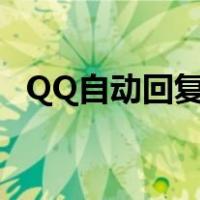 QQ自动回复在哪里开（qq自动回复在哪）