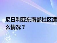 尼日利亚东南部社区遭武装分子袭击，已致9人死亡 这是什么情况？