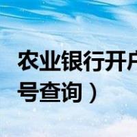 农业银行开户行号查询系统（农业银行开户行号查询）