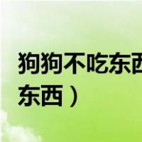 狗狗不吃东西还呕吐没精神只喝水（狗狗不吃东西）