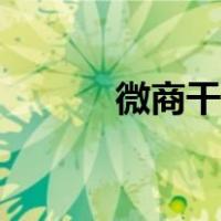 微商干啥挣钱（微商做什么好）