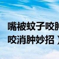 嘴被蚊子咬肿了怎么快速消肿止痛（嘴被蚊子咬消肿妙招）