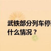 武铁部分列车停运：接触网覆冰停电 列车正逐步恢复 这是什么情况？