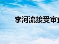 李河流接受审查调查 这是什么情况？