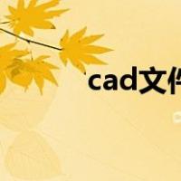 cad文件怎么降版本（cad文件）