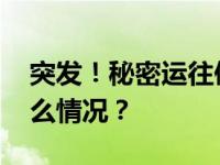 突发！秘密运往俄境内爆炸物遭查获 这是什么情况？