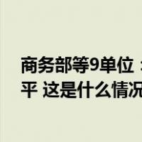 商务部等9单位：支持提升新能源汽车国际化经营能力和水平 这是什么情况？